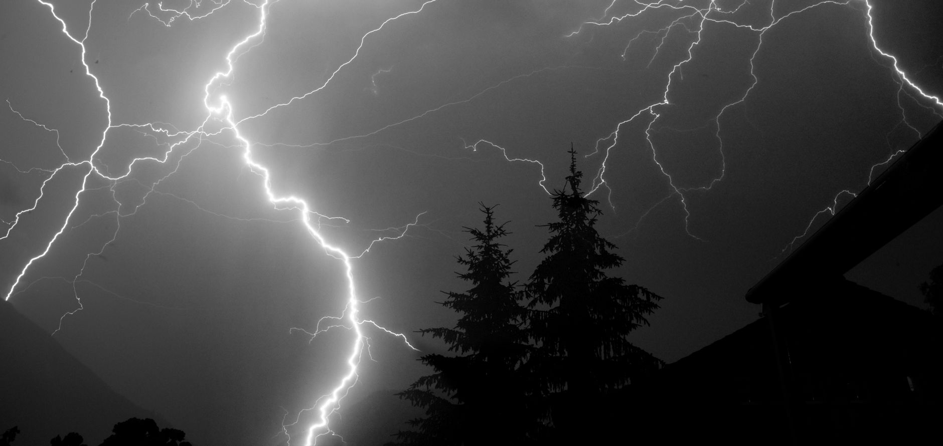 Błyskawice nocą nad lasem sosnowym podczas gwałtownej burzy