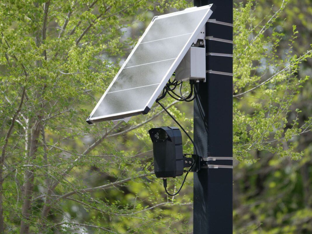 Kamera monitoringu zasilana energią słoneczną na słupie w zieleni Kamera monitoringu zasilana energią słoneczną na słupie w zieleni