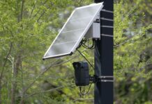 Jak zoptymalizować zużycie energii w domu z fotowoltaiką Praktyczny przewodnik po pracy urządzeń w trybie autokonsumpcji Kamera monitoringu zasilana energią słoneczną na słupie w zieleni