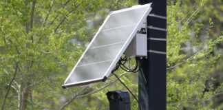 Kamera monitoringu zasilana energią słoneczną na słupie w zieleni